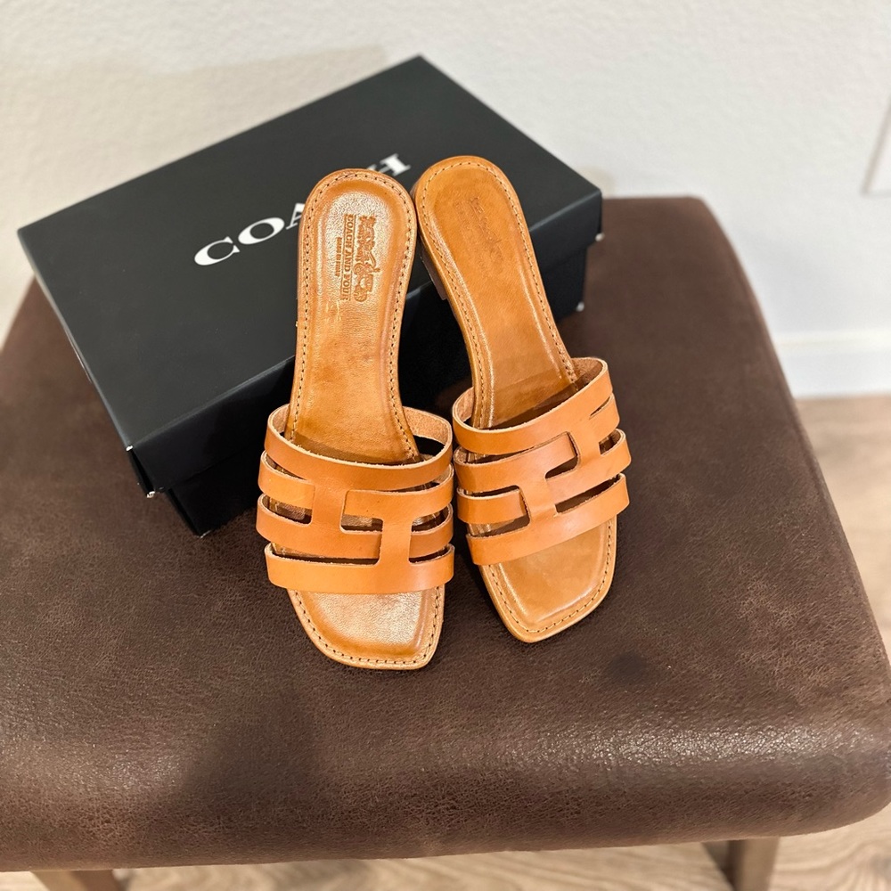 Coach sandals